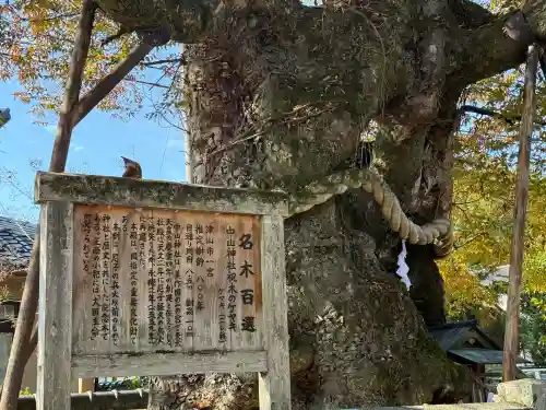 中山神社(岡山県)
