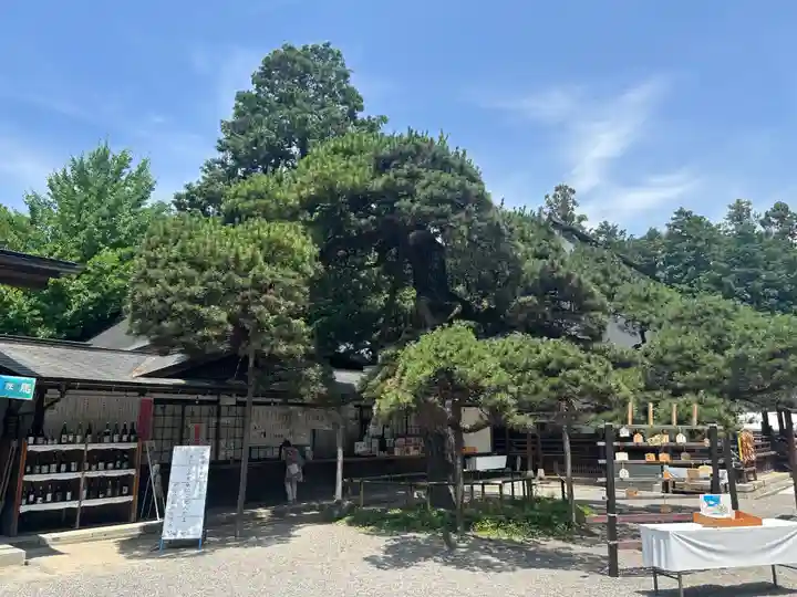 甲斐國一宮 浅間神社(山梨県)
