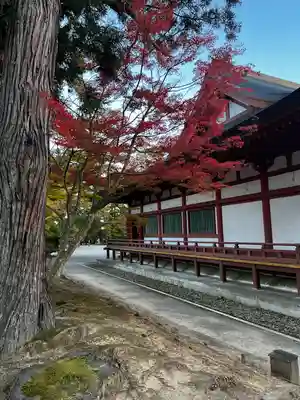 毛越寺(岩手県)