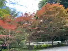 小松寺の周辺