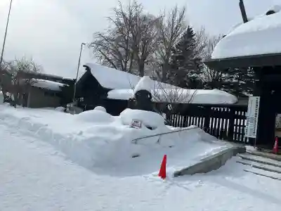 札幌護國神社の狛犬