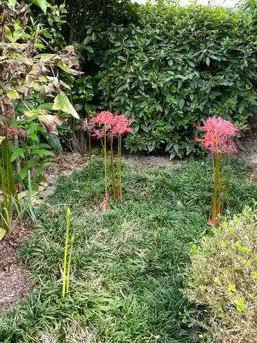 法花院の庭園