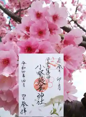 月参り御朱印4月 ｢桜｣
縦に長い日本では南から咲きはじめてから北海道に至るまで､1ヶ月以上は日本のどこかで桜の花を楽しむことができます🌸