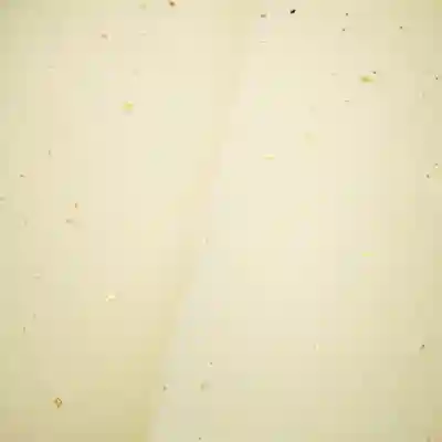 日蓮宗 総本山 塔頭 定林坊(じょうりんぼう)(山梨県)