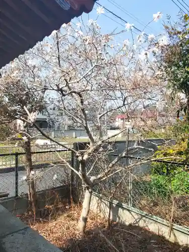 福興稲荷大神(栃木県)