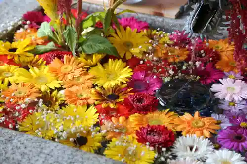 札幌諏訪神社の手水舎