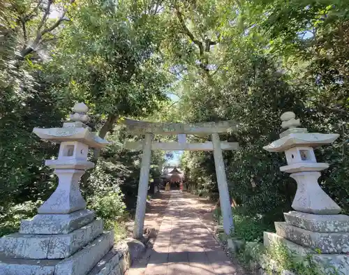 伊豫神社の鳥居