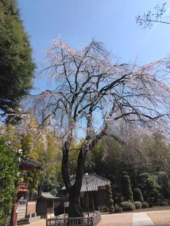 相頓寺(埼玉県)