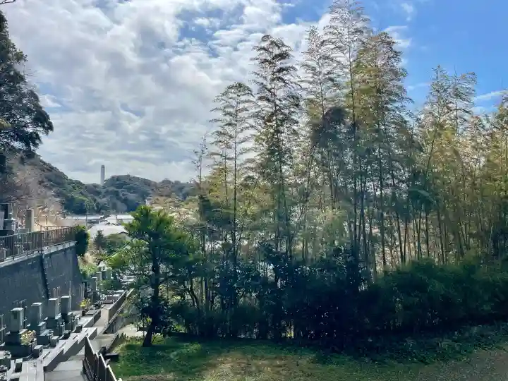 大寳寺の{uncategorized: "未分類", other: "その他", undefined: "問題あり", building: "その他建物", grave: "お墓", sacred_gate: "鳥居", guardian: "狛犬", statue: "像", buddha: "仏像", history: "歴史", nature: "自然", garden: "庭園", animal: "動物", pagoda: "塔", temizu: "手水舎", mountain_gate: "山門・神門", sanctuary: "本殿・本堂", subordinate: "末社・摂社", art: "芸術", scenery: "景色", jizo: "地蔵", ema: "絵馬", goshuin: "御朱印", omikuji: "おみくじ", items: "授与品その他", amulet: "お守り", goshuincho: "御朱印帳", eats: "食事", festival: "お祭り", votive_dance: "神楽", shichigosan: "七五三参", wedding: "結婚式", experience: "体験その他", initially: "初詣", around: "周辺", anti_infection: "感染症対策"}
