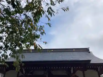 結城諏訪神社(茨城県)
