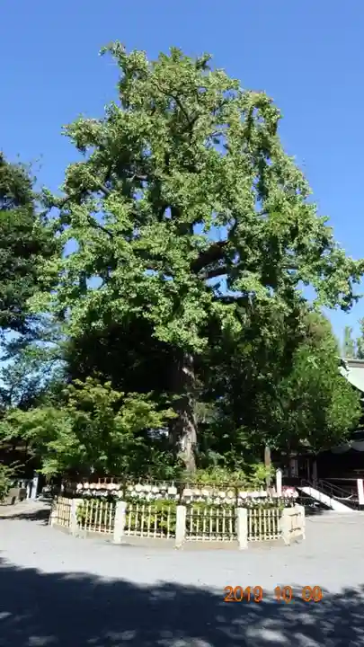七社神社の自然