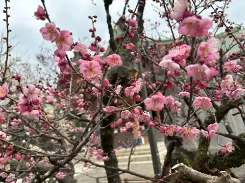 北野天満宮の{uncategorized: "未分類", other: "その他", undefined: "問題あり", building: "その他建物", grave: "お墓", sacred_gate: "鳥居", guardian: "狛犬", statue: "像", buddha: "仏像", history: "歴史", nature: "自然", garden: "庭園", animal: "動物", pagoda: "塔", temizu: "手水舎", mountain_gate: "山門・神門", sanctuary: "本殿・本堂", subordinate: "末社・摂社", art: "芸術", scenery: "景色", jizo: "地蔵", ema: "絵馬", goshuin: "御朱印", omikuji: "おみくじ", items: "授与品その他", amulet: "お守り", goshuincho: "御朱印帳", eats: "食事", festival: "お祭り", votive_dance: "神楽", shichigosan: "七五三参", wedding: "結婚式", experience: "体験その他", initially: "初詣", around: "周辺", anti_infection: "感染症対策"}