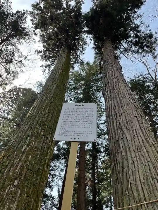 大神神社(栃木県)
