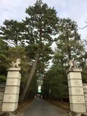 豪徳寺のその他建物
