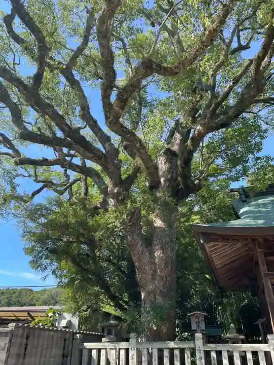 御坂神社(兵庫県)