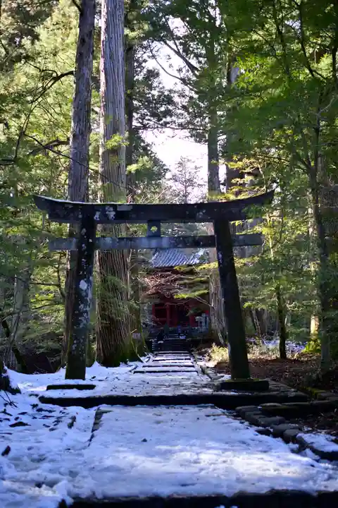 瀧尾神社(日光二荒山神社別宮)の鳥居