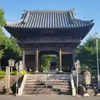 曹源寺の山門・神門