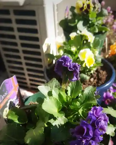 秋葉神社の自然