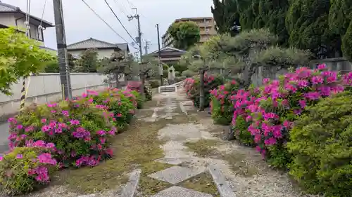 青林院(京都府)