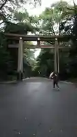 明治神宮の鳥居