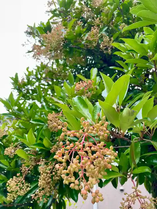 横近習大神宮(山梨県)
