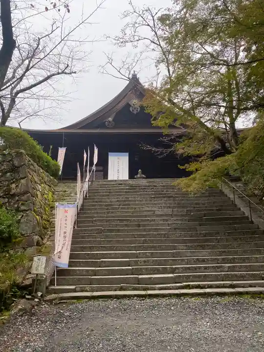 園城寺(三井寺)(滋賀県)