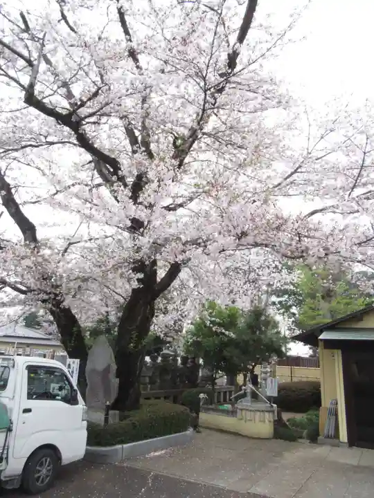 真光寺(千葉県)