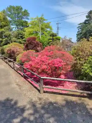 養寿寺(群馬県)