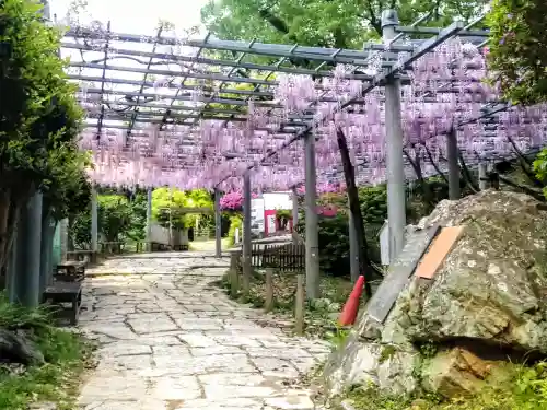 阿智神社(岡山県)