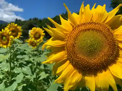 山中浅間神社(山梨県)