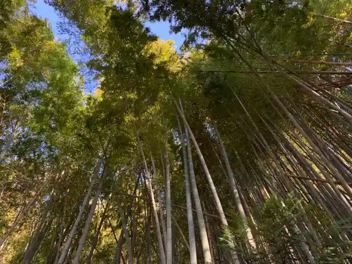 天照神社の自然