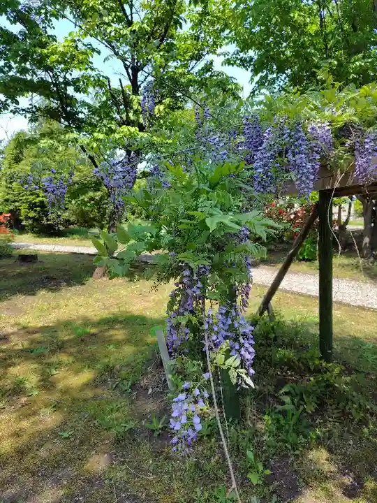 美瑛神社の自然