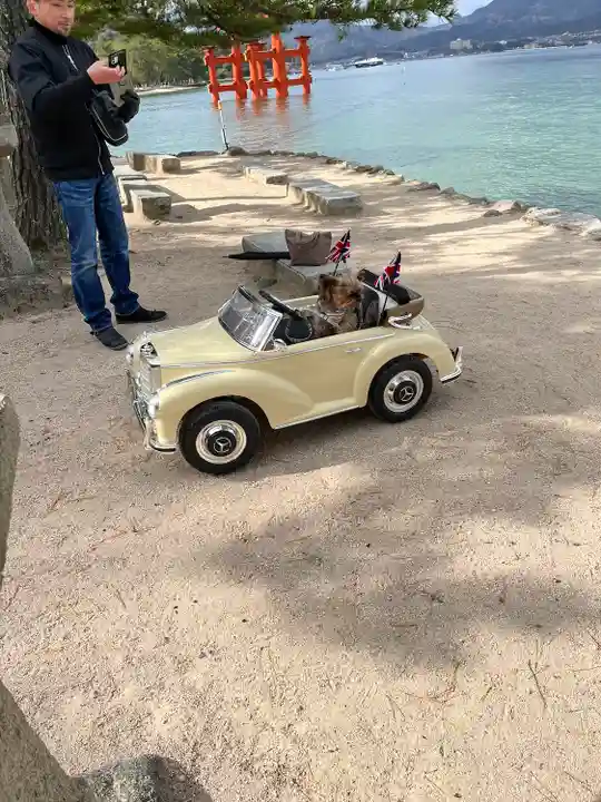 厳島神社(広島県)