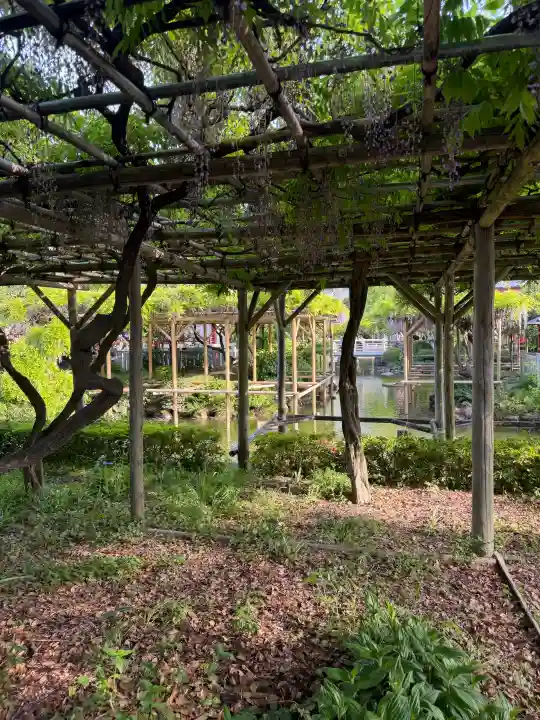 亀戸天神社の{uncategorized: "未分類", other: "その他", undefined: "問題あり", building: "その他建物", grave: "お墓", sacred_gate: "鳥居", guardian: "狛犬", statue: "像", buddha: "仏像", history: "歴史", nature: "自然", garden: "庭園", animal: "動物", pagoda: "塔", temizu: "手水舎", mountain_gate: "山門・神門", sanctuary: "本殿・本堂", subordinate: "末社・摂社", art: "芸術", scenery: "景色", jizo: "地蔵", ema: "絵馬", goshuin: "御朱印", omikuji: "おみくじ", items: "授与品その他", amulet: "お守り", goshuincho: "御朱印帳", eats: "食事", festival: "お祭り", votive_dance: "神楽", shichigosan: "七五三参", wedding: "結婚式", experience: "体験その他", initially: "初詣", around: "周辺", anti_infection: "感染症対策"}