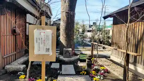 蘇我比咩神社(千葉県)