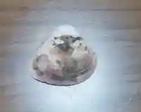 篠山神社(栃木県)