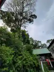 東山稲荷神社の自然