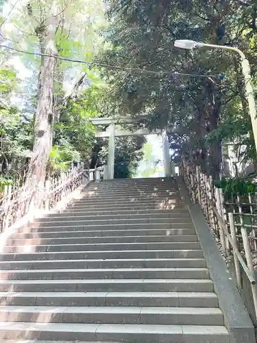 渋谷氷川神社の鳥居