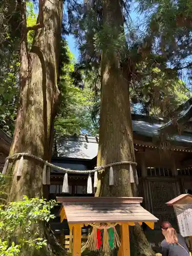 高千穂神社(宮崎県)