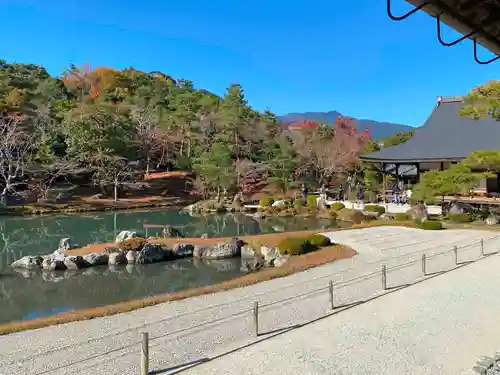 天龍寺の庭園