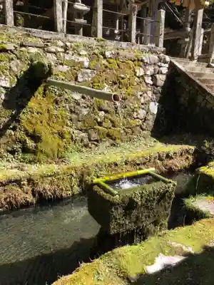 松尾神社の手水舎