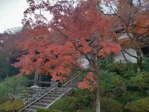 延命寺(大阪府)