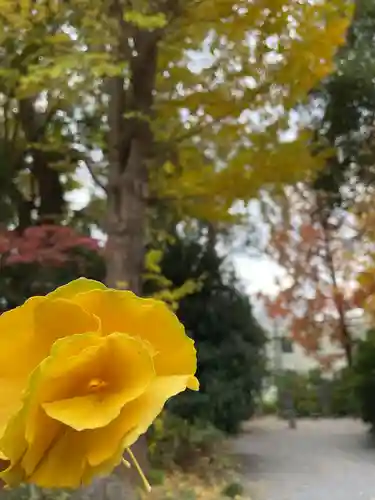 阿佐ヶ谷神明宮(東京都)