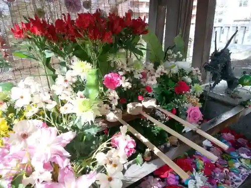 彌彦神社　(伊夜日子神社)の手水舎