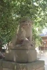 中山神社の狛犬