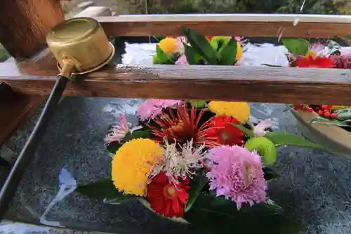 豊景神社の手水