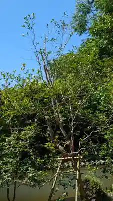 東林院(京都府)