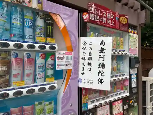 知恩院(京都府)