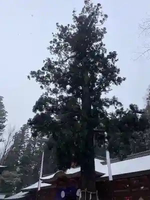 穂高神社本宮(長野県)