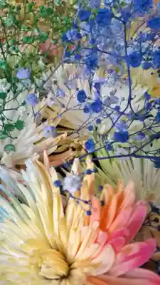 札幌諏訪神社の手水舎